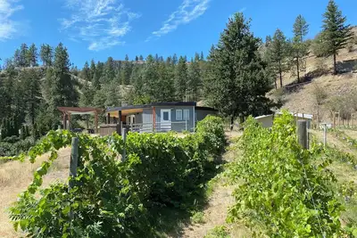 Image de Roundhouse Ridge - Vineyard, Hot Tub and Acreage to Explore!