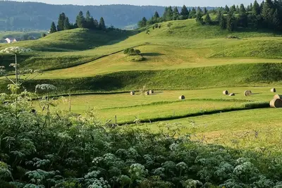 Image de Fenoula gîte dans une ancienne ferme du Haut-Jura près des lacs