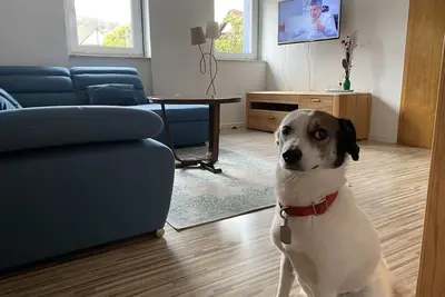 Image de Vacation apartment \"As a guest with friends\"