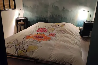 Image de Logement cosy sous les toits