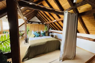 Image de Historic vacation home on the Main, 110 sqm, large terrace, modern and renovated