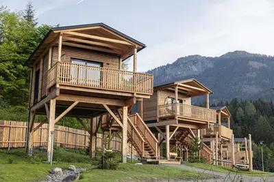 Image de Premium tree house with 1 bedroom