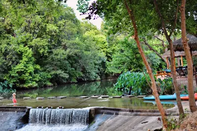 Romantic Getaway Cabin on Creek! Relax and unwind surrounded by nature! - Rc23