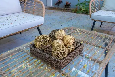 Image de 🌿🌿 Tamarind 2