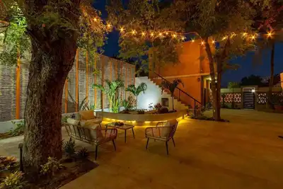 Image de 🌿🌿 Tamarind 3