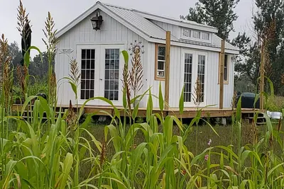 Image de The Firefly stargazer, garden studio. View the night sky from your bed.