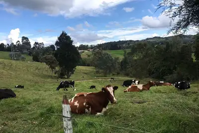 Image de A 5km del parque arvi, casa finca donde puedes disfrutar de la naturaleza