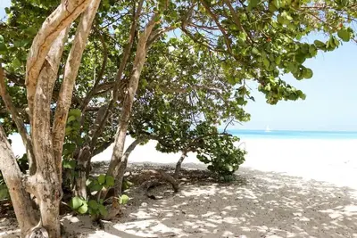 Image de Sea Turtle Condo at Eagle Beach Aruba