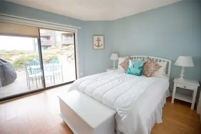 Image de Shorebirds 11