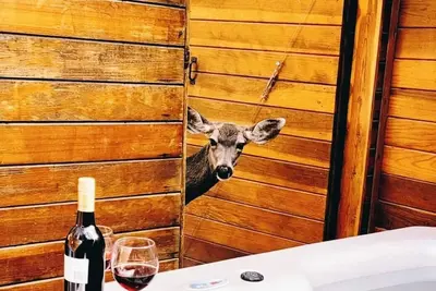 Image de Hot Tub *Upper Canyon*King Size Bed*\" Cowboy's Trail\"