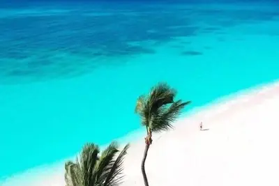 Image de “Oceania” Great for Families! Steps from the Beach, Pool and Grocery store…