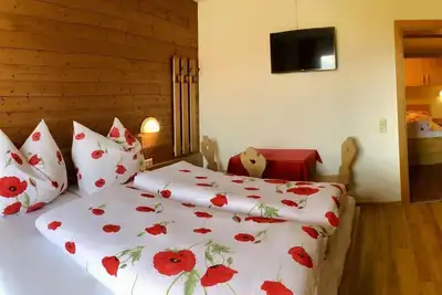 Image de Family room, shower or bath, Wc, 2 bedrooms - Pension Heidelberg - Fam