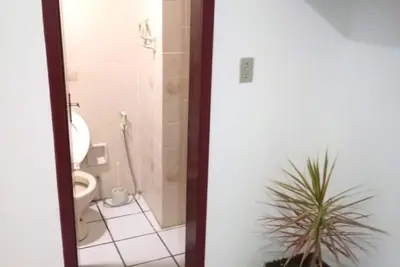 Image de summer 2021/22 Florianopolis. cane scallops.