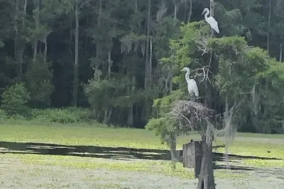 Image de Golf at Resort Hosting New Pga Tour Event in 2022.