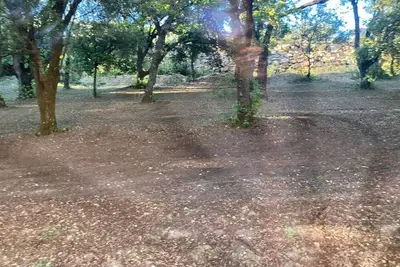 Image de Suite Royale avec vue piscine à 5m du centre ville