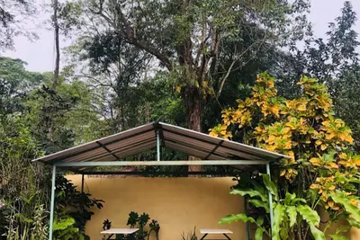 Image de Cozy cottage in the middle of nature