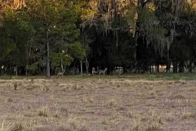 Image de Hidden Gem In West Florida! 12 Ppl Cabin