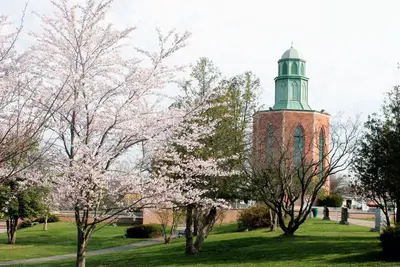 Image de Prime Location! Minutes to The Gallery at Westbury Plaza, Pet Friendly Property!