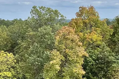 Image de Fox Pen Cabins\nCabin #2\nNot friendly for street bikes…\nPet-Friendly