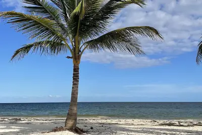 Image de Casita KinHa Garden Suite - Oceanfront