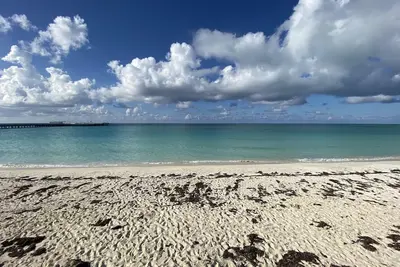 Image de Steps to the best private beach in Bimini Bay and Hilton Hotel