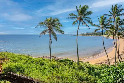 Image de Oceanfront Wailua Bayview 203 - Newest Listing!