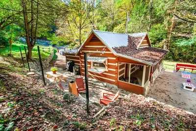 Beary Relaxing Cabin - Rustic w/ Outdoor Patio!