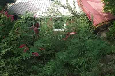 Image de Cottage 100m plage petite anse