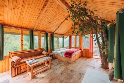 Image de Tree House