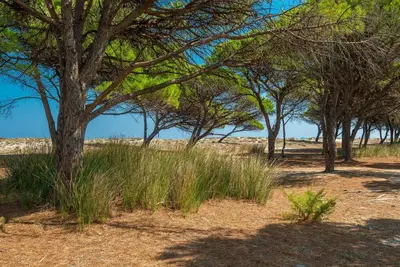 Image de Agréable appartement avec Wifi, climatisation, Tv, patio, animaux admis et parking