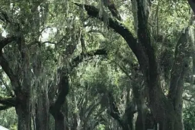 Image de Tudor style house near historic downtown Annapolis