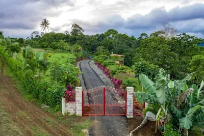 Image de Forest-flame 2 Bedroom house and 1 bath in Costa Rica