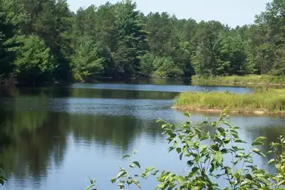 Image de Pheasant Cottage- Cottages On Serenity Lake- has best view of Serenity Lake!