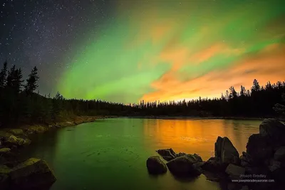 Image de Bella's Home Sweet Home