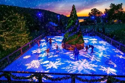 Image de Free Hilton Resort Activities! /LakeTaneycomoMarina! 2/2PeacefulWALKIN WaterView!