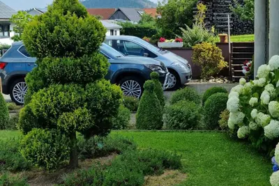 Image de Beautiful holiday apartment Marika in Bad Wildungen-Albertshausen.