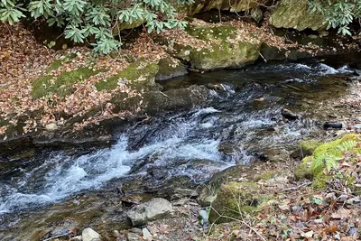 Image de Creekside Cabin