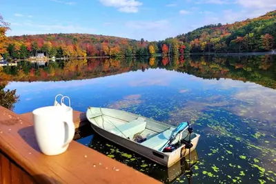 Image de ! ! Lakefront house with baby goats! !