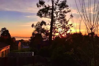 Image de Just built, sunny, modern, quiet 1 bedrm Apartment