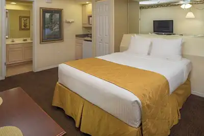 Image de Group Vacation! 2 Great Units w/Kitchens, Near Hollywood Wax Museum Branson