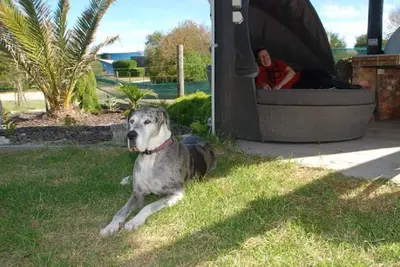 Image de Lakeside Villa