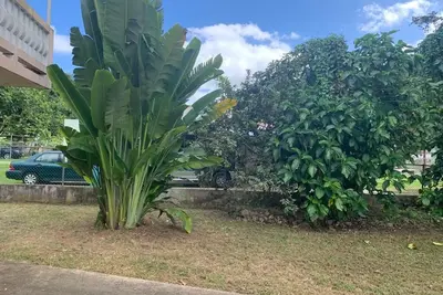 Image de acogedor apartamento, encuentra la tranquilidad que necesitas.