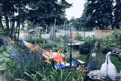 Image de Gypsywind Enterprises