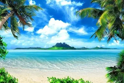 Image de Awesome Kendall! ! 2 Queen Beds- Fun in the sun!