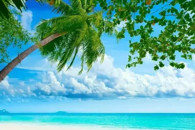 Image de Miami-Kendall, Minutes from the Fun! 2 Queen