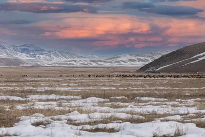 Image de 311 Hidden Hollow Elk Refuge 3-Bed Penthouse Retreat