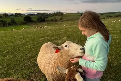 Image de Jilly Park Farmstay-authentic farm experience in beautiful home, breakfast incl