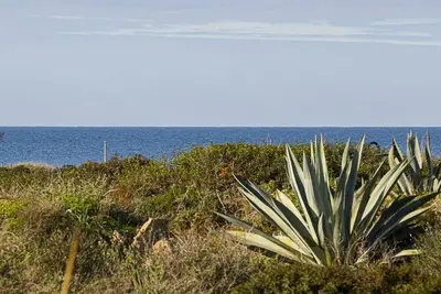 Image de Ferienwohnung/app. für 4 Gäste mit 80m² in Colonia Sant Jorid