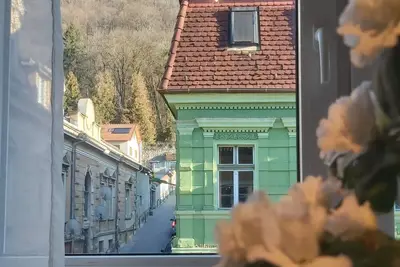 Image de Tampa View - one-bedroom apartment in center of Brasov