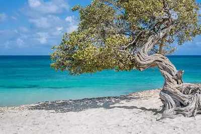 Image de Luxurious Caribbean getaway